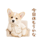 ネガティブな癒しコーギー（個別スタンプ：4）