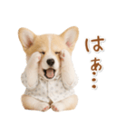 ネガティブな癒しコーギー（個別スタンプ：6）