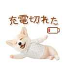 ネガティブな癒しコーギー（個別スタンプ：8）