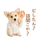 ネガティブな癒しコーギー（個別スタンプ：16）