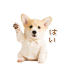 ネガティブな癒しコーギー（個別スタンプ：20）
