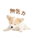 ネガティブな癒しコーギー（個別スタンプ：23）
