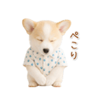 ネガティブな癒しコーギー（個別スタンプ：26）