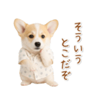 ネガティブな癒しコーギー（個別スタンプ：30）