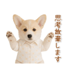 ネガティブな癒しコーギー（個別スタンプ：35）