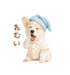 ネガティブな癒しコーギー（個別スタンプ：37）