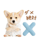 ネガティブな癒しコーギー（個別スタンプ：39）