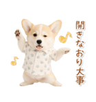 ネガティブな癒しコーギー（個別スタンプ：40）