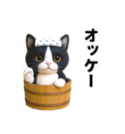 ハチワレ猫のダジャレ地獄（個別スタンプ：4）