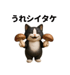 ハチワレ猫のダジャレ地獄（個別スタンプ：10）