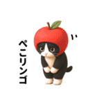 ハチワレ猫のダジャレ地獄（個別スタンプ：12）