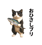 ハチワレ猫のダジャレ地獄（個別スタンプ：14）