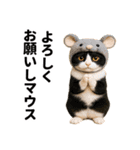 ハチワレ猫のダジャレ地獄（個別スタンプ：15）