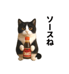 ハチワレ猫のダジャレ地獄（個別スタンプ：16）