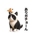 ハチワレ猫のダジャレ地獄（個別スタンプ：17）