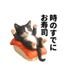 ハチワレ猫のダジャレ地獄（個別スタンプ：24）