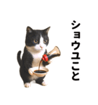 ハチワレ猫のダジャレ地獄（個別スタンプ：25）