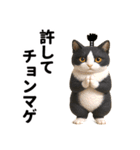 ハチワレ猫のダジャレ地獄（個別スタンプ：33）