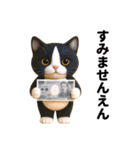 ハチワレ猫のダジャレ地獄（個別スタンプ：34）