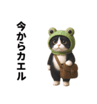 ハチワレ猫のダジャレ地獄（個別スタンプ：37）