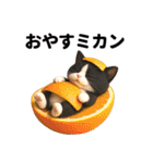 ハチワレ猫のダジャレ地獄（個別スタンプ：40）