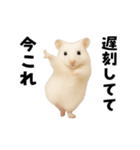 踊る！今これゴールデンハムスター（個別スタンプ：5）