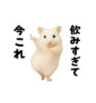 踊る！今これゴールデンハムスター（個別スタンプ：14）