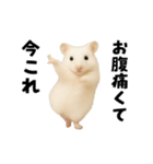 踊る！今これゴールデンハムスター（個別スタンプ：15）