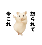 踊る！今これゴールデンハムスター（個別スタンプ：21）