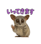 ハッピーアニマル_ガラゴ1（個別スタンプ：32）