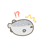 うごく！海のいきもの（個別スタンプ：24）