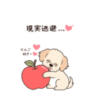 やさしいマルプー『秋』（個別スタンプ：4）