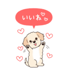 やさしいマルプー『秋』（個別スタンプ：5）