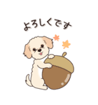 やさしいマルプー『秋』（個別スタンプ：9）