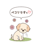 やさしいマルプー『秋』（個別スタンプ：10）