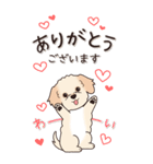 やさしいマルプー『秋』（個別スタンプ：11）