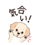 やさしいマルプー『秋』（個別スタンプ：13）