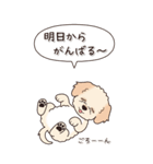 やさしいマルプー『秋』（個別スタンプ：14）