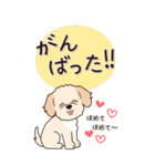 やさしいマルプー『秋』（個別スタンプ：16）