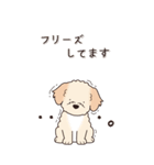 やさしいマルプー『秋』（個別スタンプ：18）