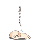 やさしいマルプー『秋』（個別スタンプ：19）