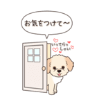 やさしいマルプー『秋』（個別スタンプ：21）