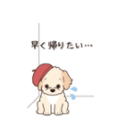 やさしいマルプー『秋』（個別スタンプ：24）