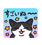 ハチワレ猫です。（個別スタンプ：1）