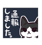 ハチワレ猫です。（個別スタンプ：3）