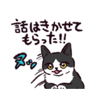 ハチワレ猫です。（個別スタンプ：13）