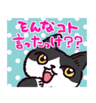 ハチワレ猫です。（個別スタンプ：19）