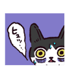 ハチワレ猫です。（個別スタンプ：22）