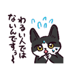 ハチワレ猫です。（個別スタンプ：23）