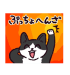 ハチワレ猫です。（個別スタンプ：27）